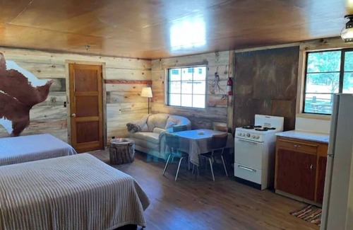 Alpine Cabin | Comfy Cozy Cabin in the tall pines of Alpine AZ #1