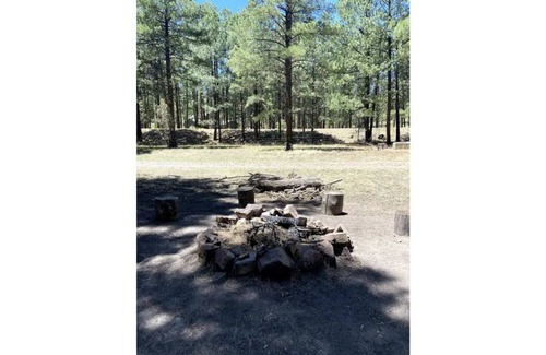 Alpine Cabin | Comfy Cozy Cabin in the tall pines of Alpine AZ #1