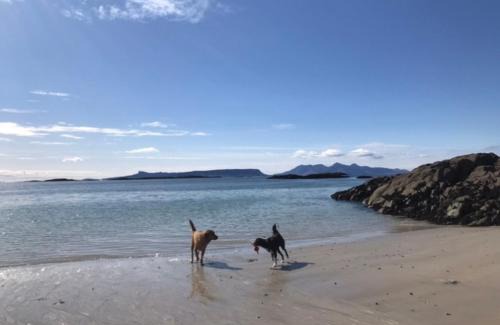 Mallaig House | Cornerstone