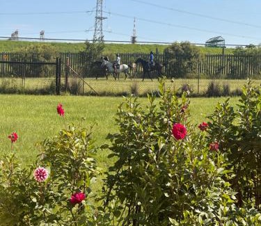 Greater Johannesburg Metropolitan Area Bed & Breakfast | Country side escape