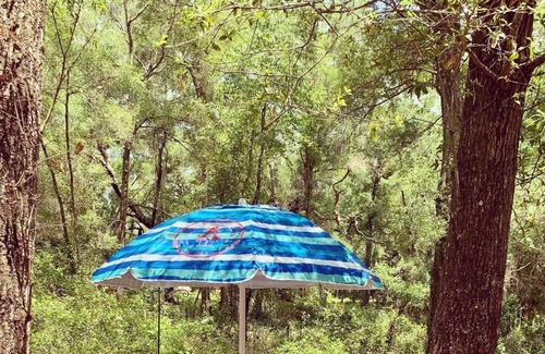 Citrus Springs RV Rental | Cozy glamping spot located just minutes from beautiful springs and manatees!