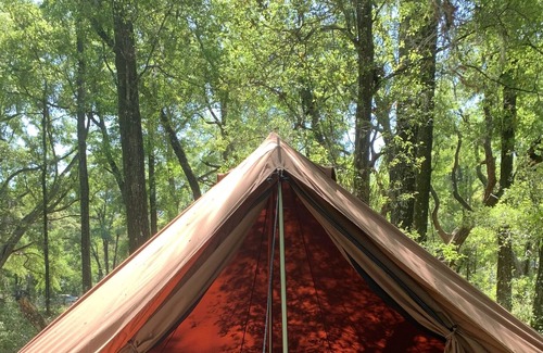 Citrus Springs RV Rental | Cozy glamping spot located just minutes from beautiful springs and manatees!
