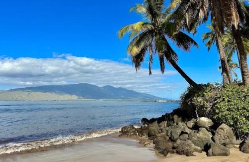 Kihei Apartment | Cozy Maui Studio Retreat Just Steps to the Sand!