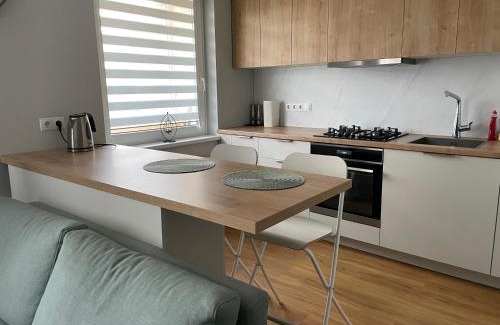 Panevezys Apartment | Cozy Urban Retreat with Self check-in and Netflix