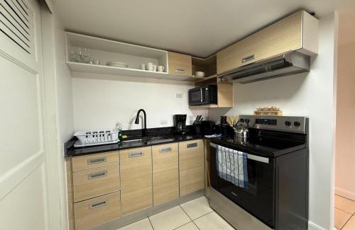 Santa Ana Apartment | CR MARIPOSA RENTALS Brand New lake view Penthouse with office space