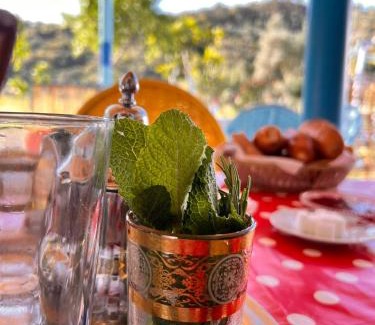 Laghdir Other | Dar zitouna