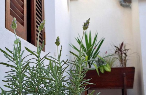 San Jose Apartment | Departamento de dos plantas en zona centro San José, Entre Ríos
