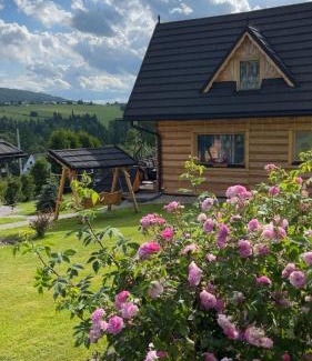Szaflary Ski Chalet | Domek u Śpiewoka 1