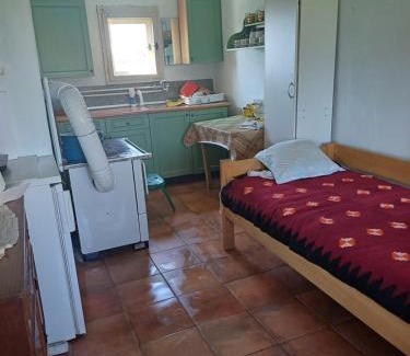 Central Serbia House | Dragačevska kuća na bregu