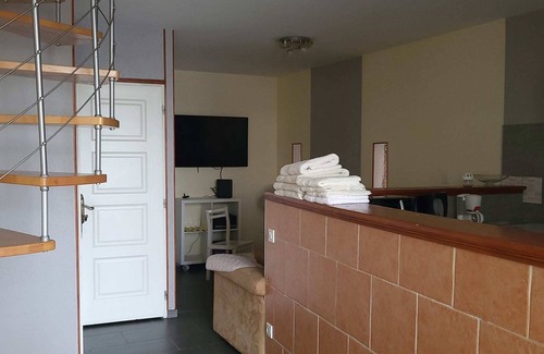Roanne Apartment | DUPLEX FACING THE LOIRE (APT N°03)