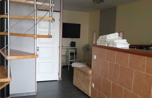 Roanne Apartment | DUPLEX FACING THE LOIRE (APT N°03)