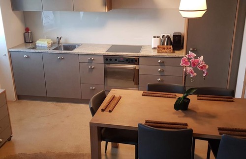 Littau Apartment | Easy-Living Apartments Lindenstrasse 21