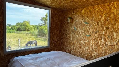 Vallet Cabin | Ecolodge premium avec bain nordique