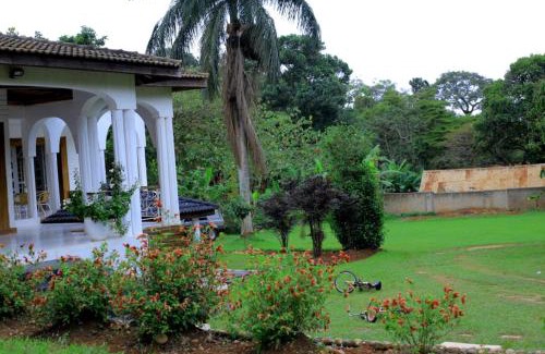 Entebbe Hotel | Egg Botanical View