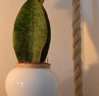 Parikia Apartment | Eight senses