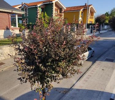 El Astillero House | El Chalet Azul