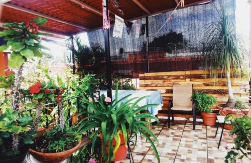 Centro Hotel | El Rincón de Doña Bety