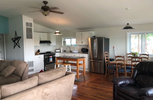 Unadilla Township House | Enjoy the lake life, beautiful beach, great for fishing, swimming and boating!
