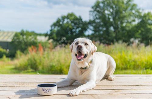 Abbess Roding House | Ernest by Bloom Stays