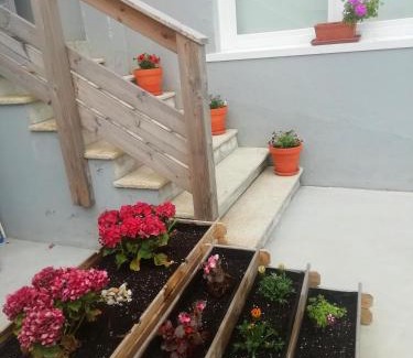 Baiona Old Town Hostel | Estela do Mar