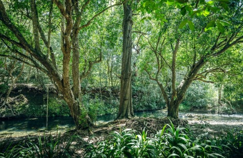 Gleniffer Apartment | Evermoore Castle - Enchanting Stay w/River Access