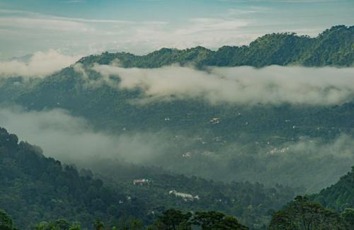 Dharampur Apartment | Exotic Stays Kasauli