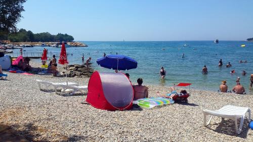 Farini House | Family friendly house with a swimming pool Visnjan, Central Istria - Sredisnja Istra - 22837