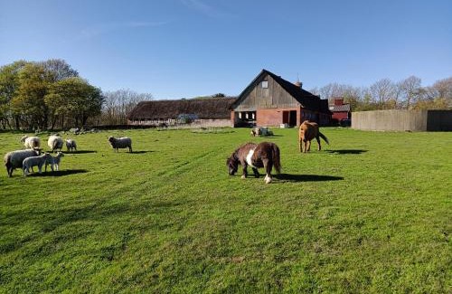 Tønder Municipality House | Ferienhof Faebrogaard
