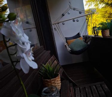 Edlbach Apartment | Ferienwohnung am Bischofsberg