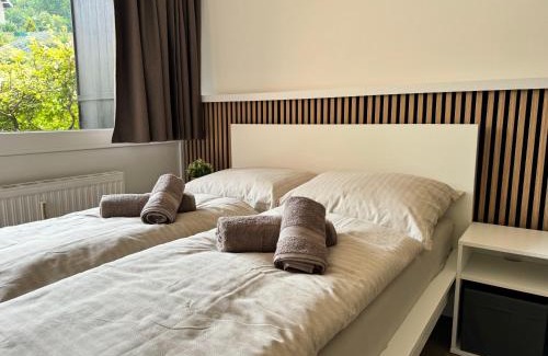 Bad Aussee Apartment | Ferienwohnung im Zentrum von Bad Aussee