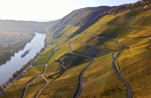 Bernkastel Apartment | Fewo Mosel & mehr