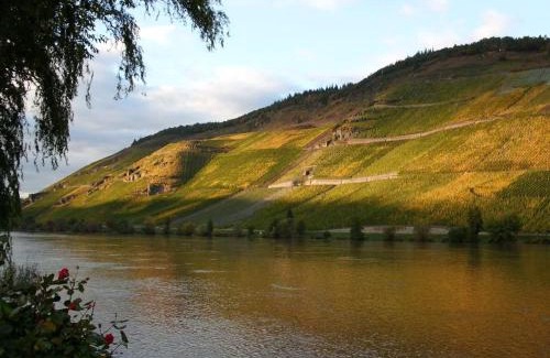 Bernkastel Apartment | Fewo Mosel & mehr