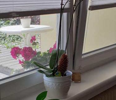 Kandern Apartment | Fiona