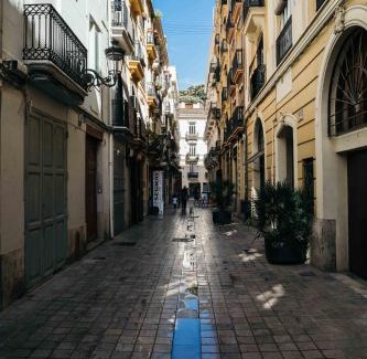 La Seu Apartment | FLORIT FLATS - CENTER Luxurious 1BR 1BA Terrace WI-FI AC
