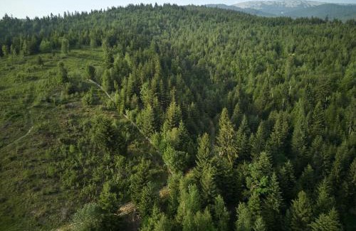 Bukovel Villa | Fomich Residence Guesthouses