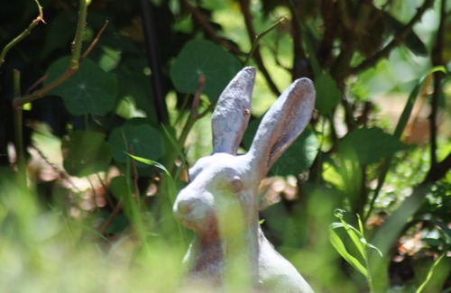 Escueillens-et-Saint-Just-de-Belengard Apartment | Peace & tranquility in a small village 25 mins south of Carcassonne