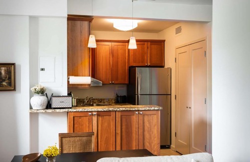 Central West End Apartment | FRONTDESK 1 BR Apt 5 mile away from City Museum