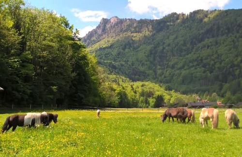 Hohenaschau im Chiemgau House | Gästehaus Kiesmüller