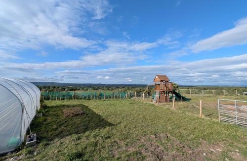Barnard Castle Other | Gallow Hill Campsite