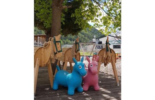 Niederthai House | Gentian Riding stable Alpine Appart