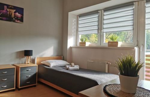 Cieszyn Hotel | Gościniec nad Olzą