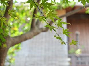 Okazaki House | Guest House Waraku-An