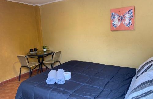 Curico House | Habitacion Doble Abedul