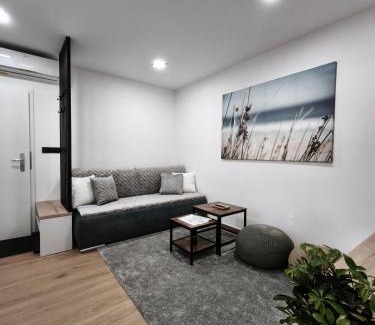 Luhacovice Apartment | HANESI apartments Luhačovice