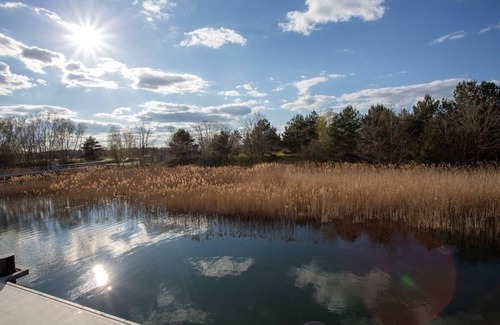 Laasow Apartment | Hausboot für 4 Gäste mit 45m² in Vetschau/spreewald
