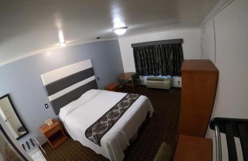 Hollywood Hotel | Hollywood Guest Inn