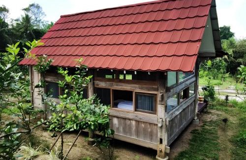 Kalipuro House | Homestay Ijen Lemon House