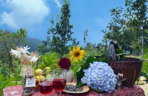 Bat Xat Hotel | Homestay Khám Phá Y Tý - Only accept Vietnamese customers
