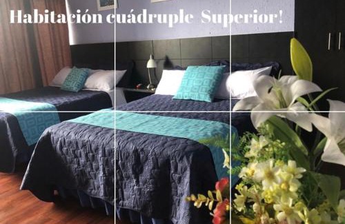 Concepcion Hotel | Hostal Alua Rio