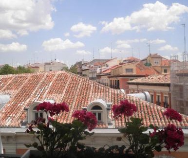 Malasana House | Hostal Flat55Madrid